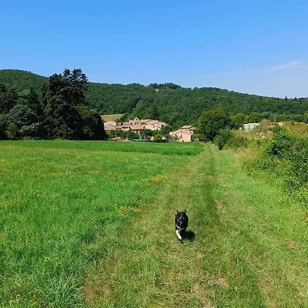 Les Lits De Montbel *